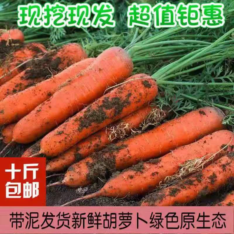 新鲜水果胡萝卜农家自种当季现挖蔬菜红萝卜10斤包邮